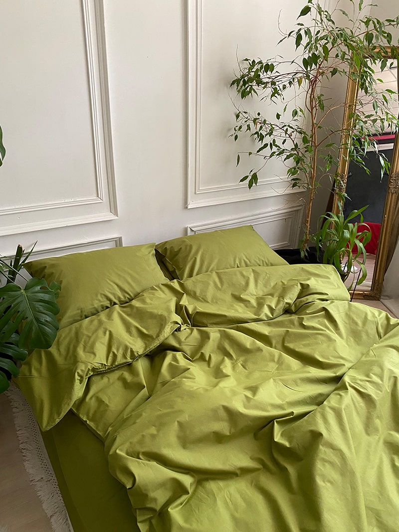 Комплект постільної білизни із ранфорсу Pistachio