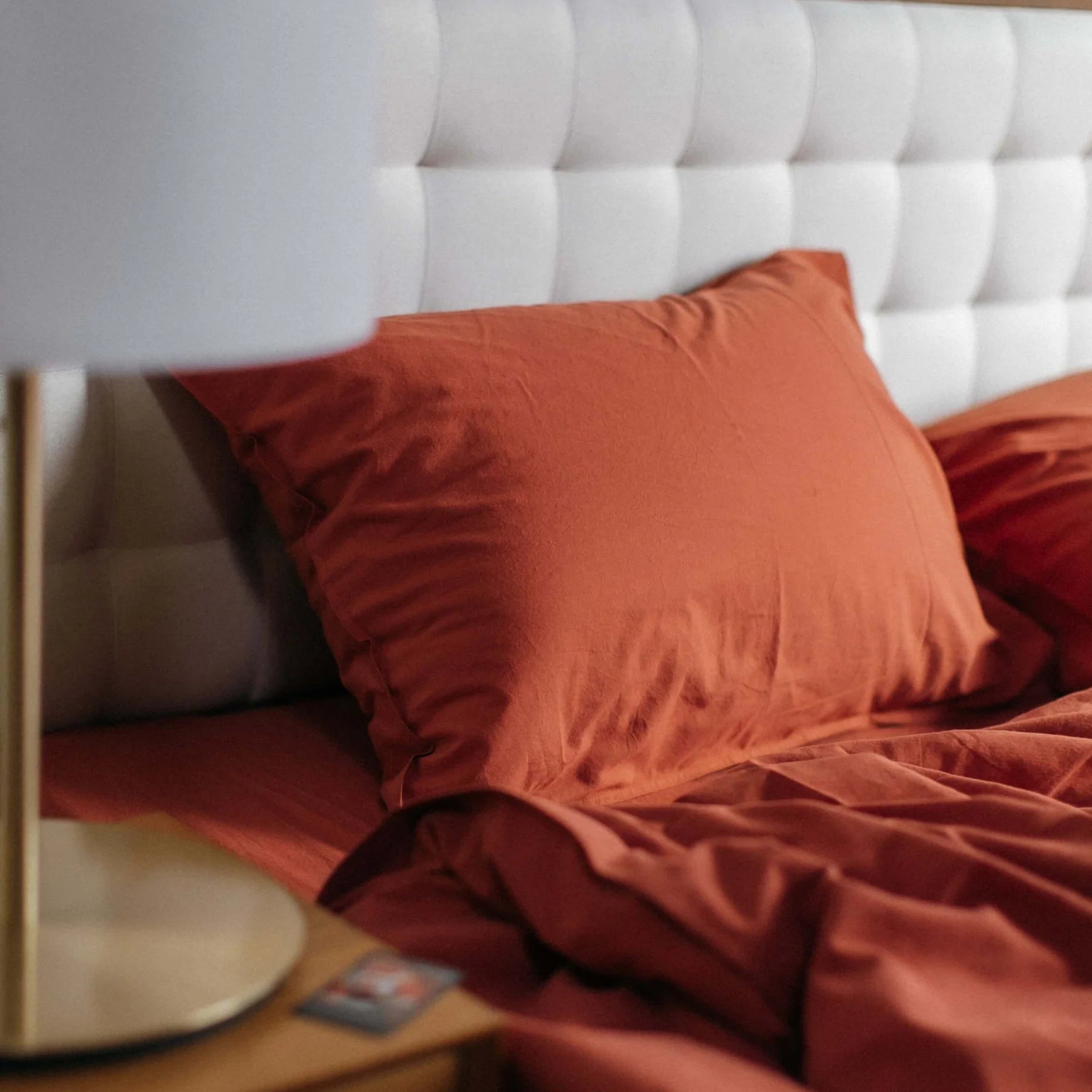 Комплект постільної білизни із вареної бавовни Terra