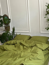 Комплект постільної білизни із ранфорсу Pistachio