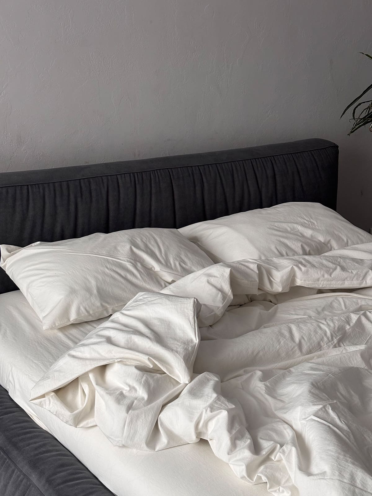 Комплект постільної білизни із вареної бавовни Cloud