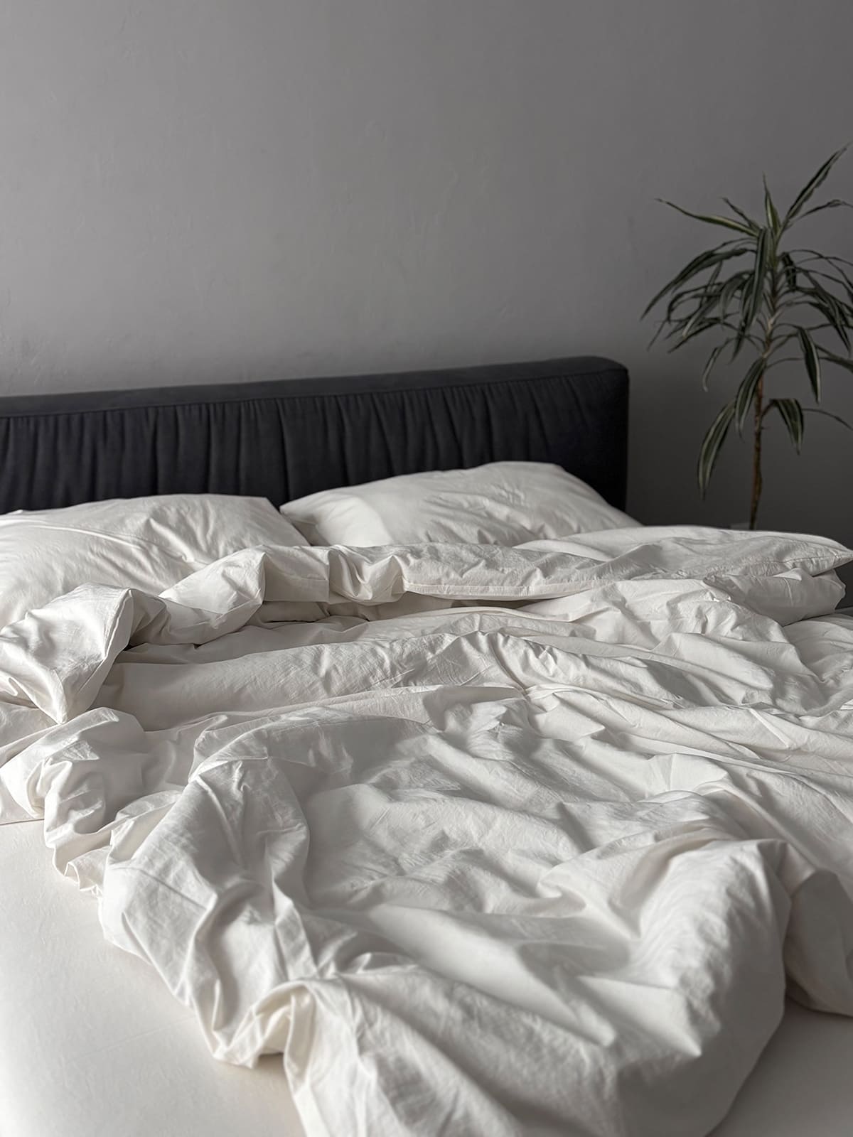 Комплект постільної білизни із вареної бавовни Cloud