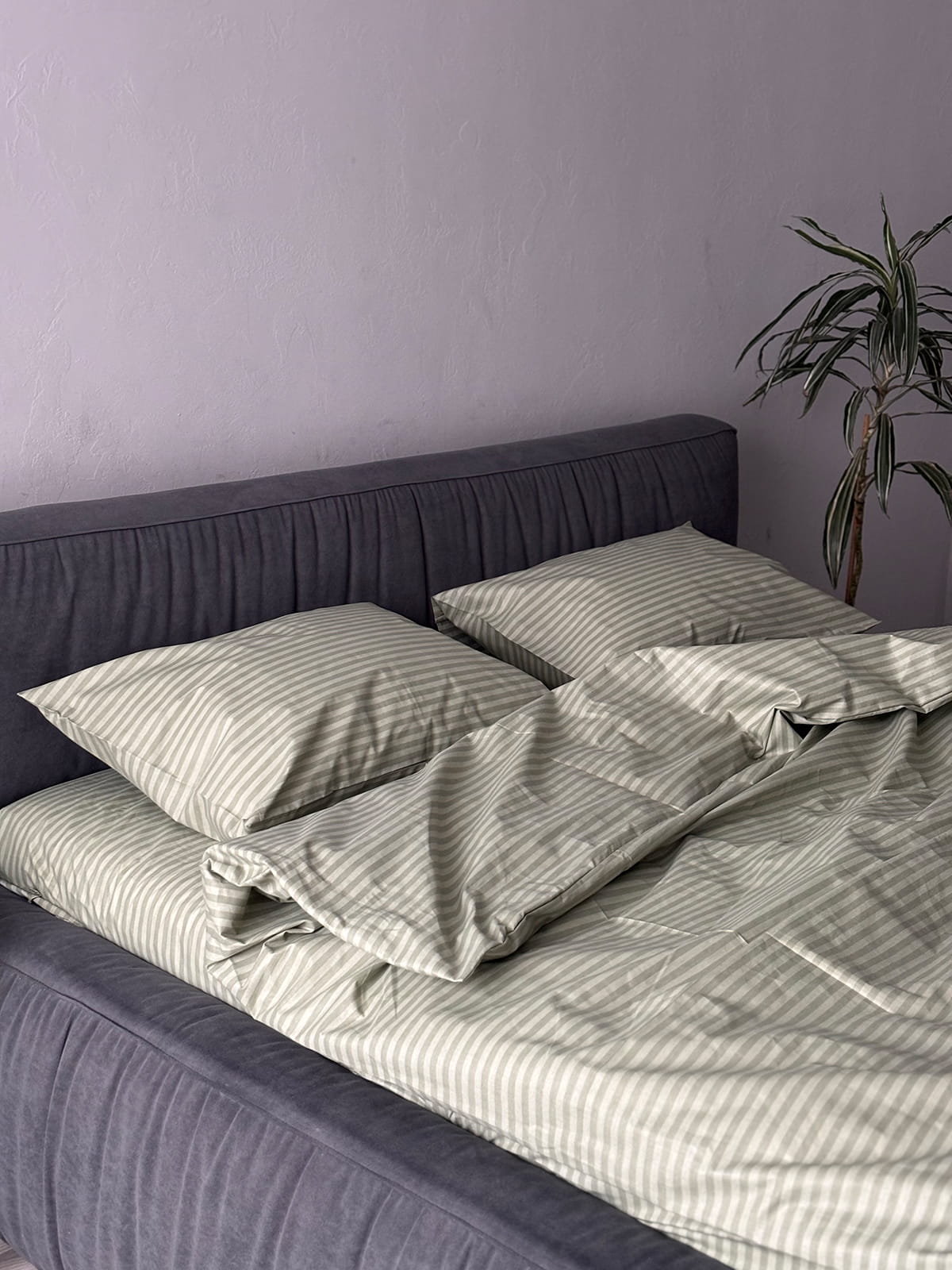 Комплект постільної білизни із бязі Olive Stripe
