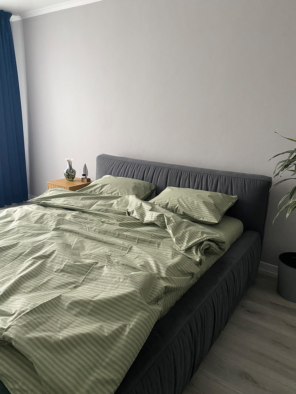 Комплект постільної білизни із бязі Olive Stripe