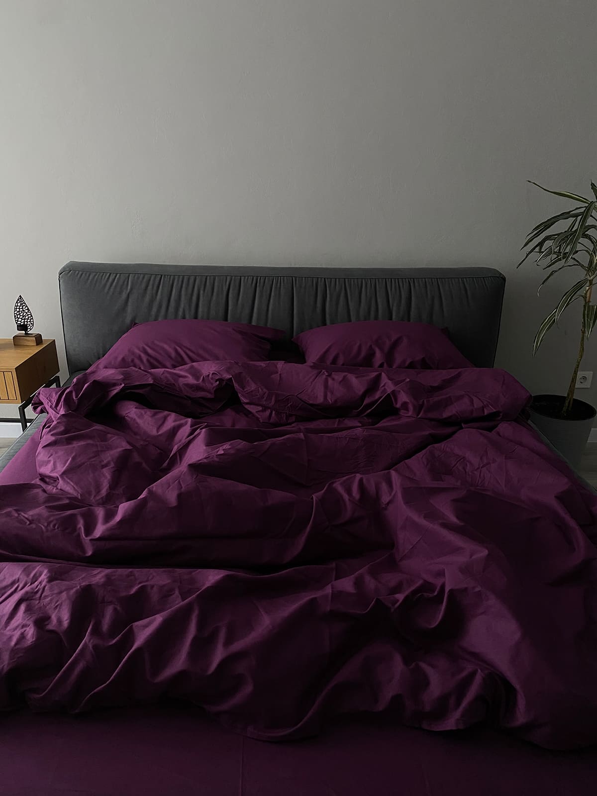 Комплект постільної білизни із ранфорсу Magenta