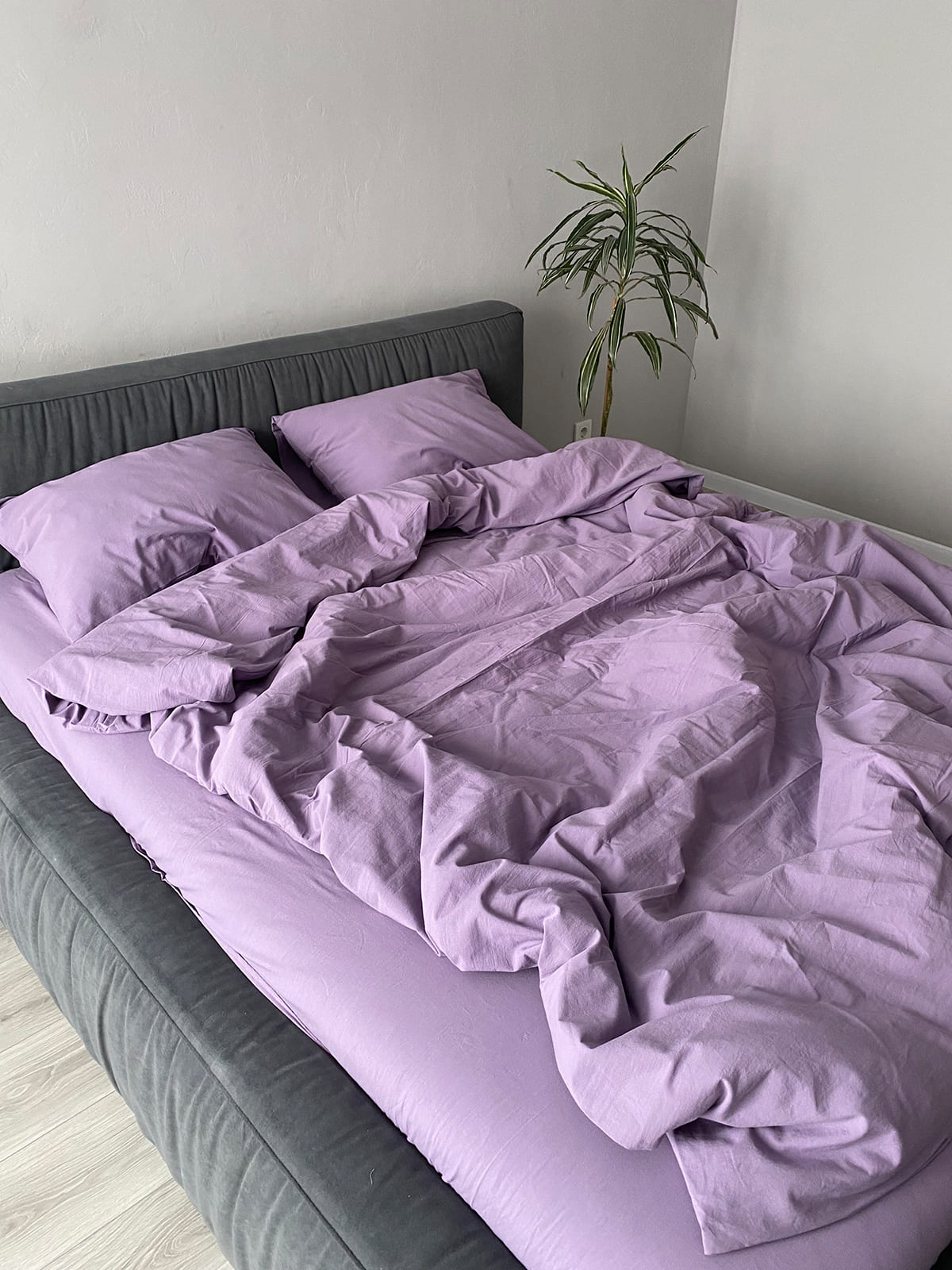 Комплект постільної білизни із вареної бавовни Lavender