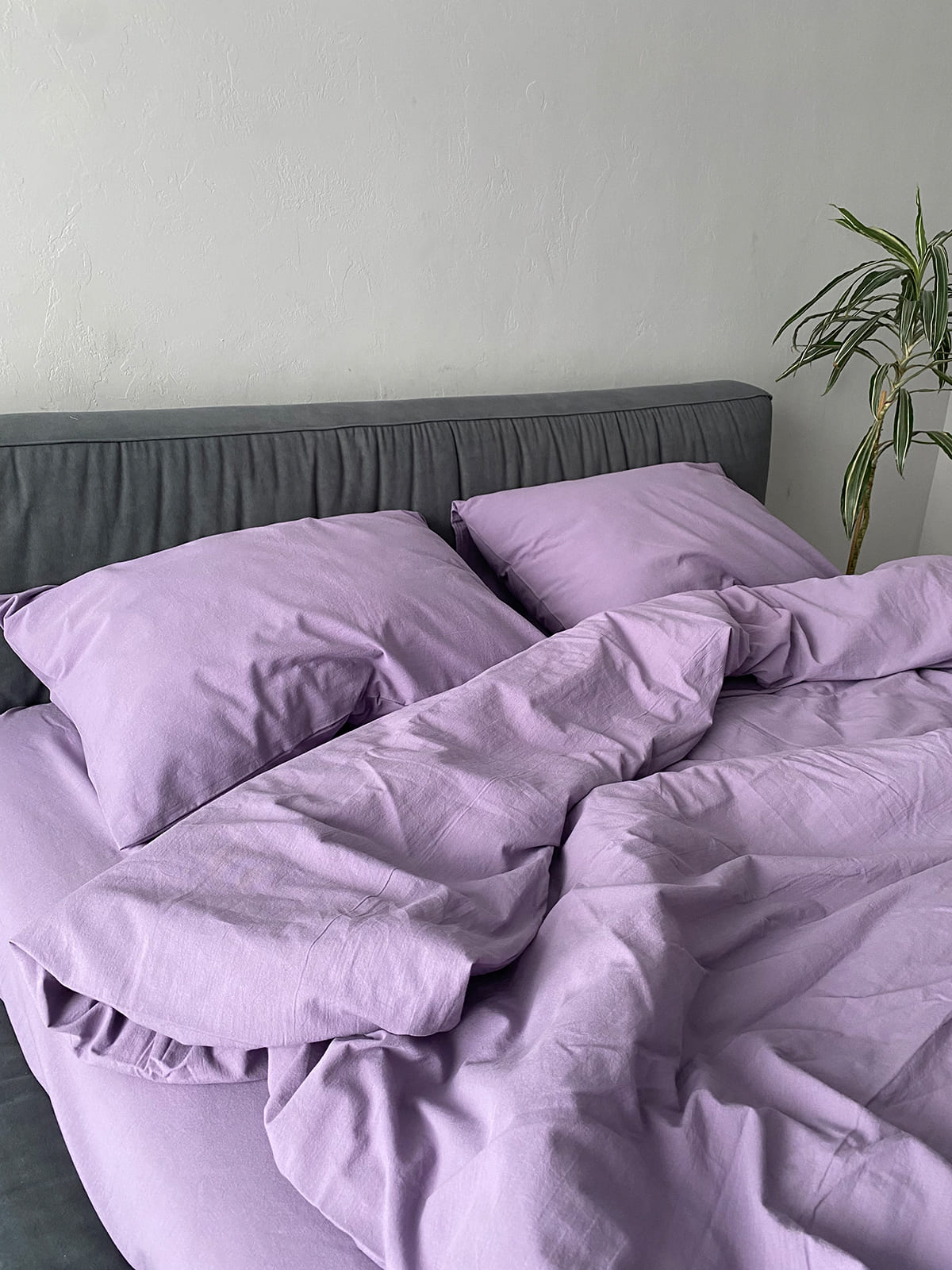 Комплект постільної білизни із вареної бавовни Lavender