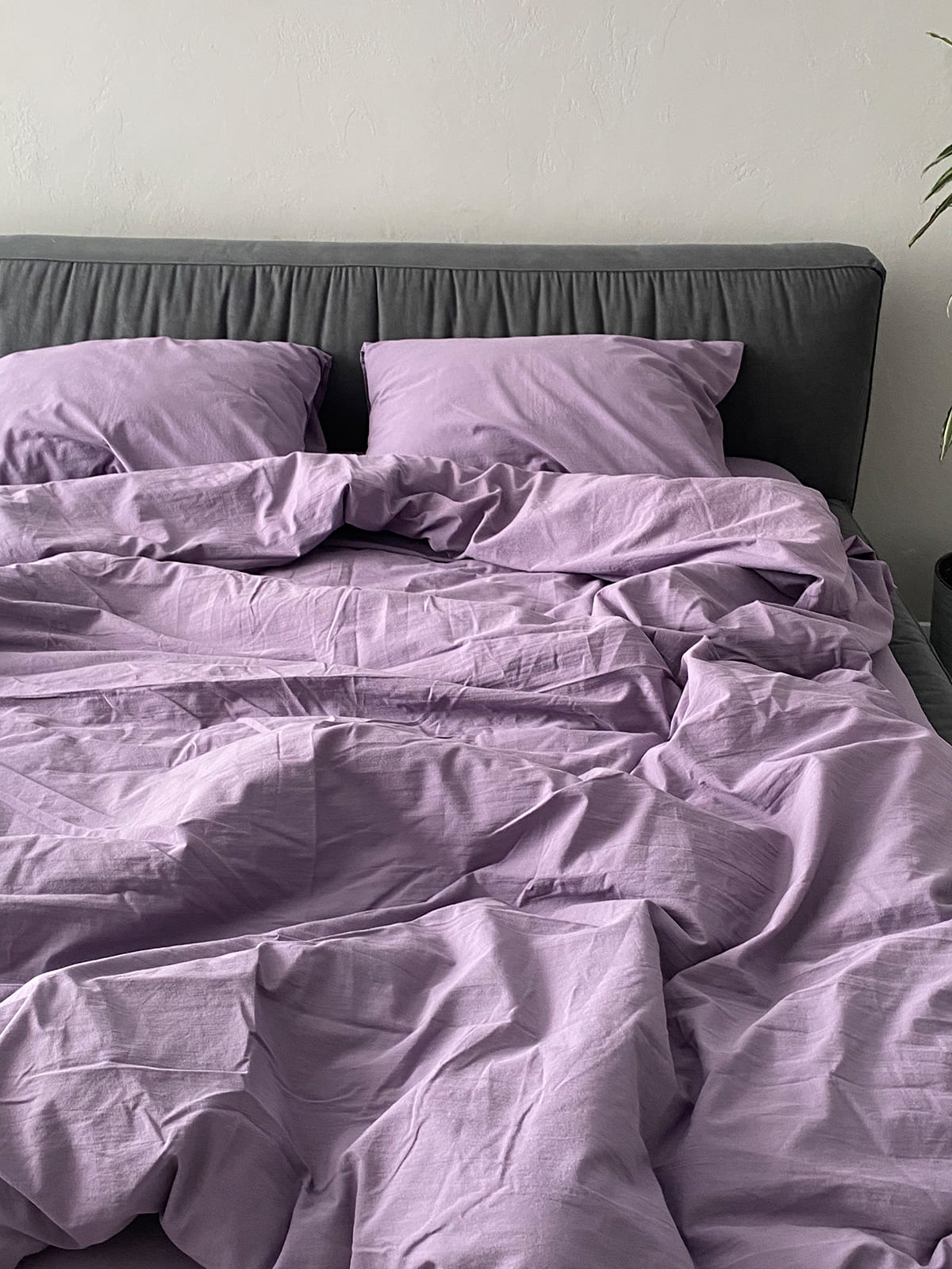 Комплект постільної білизни із вареної бавовни Lavender