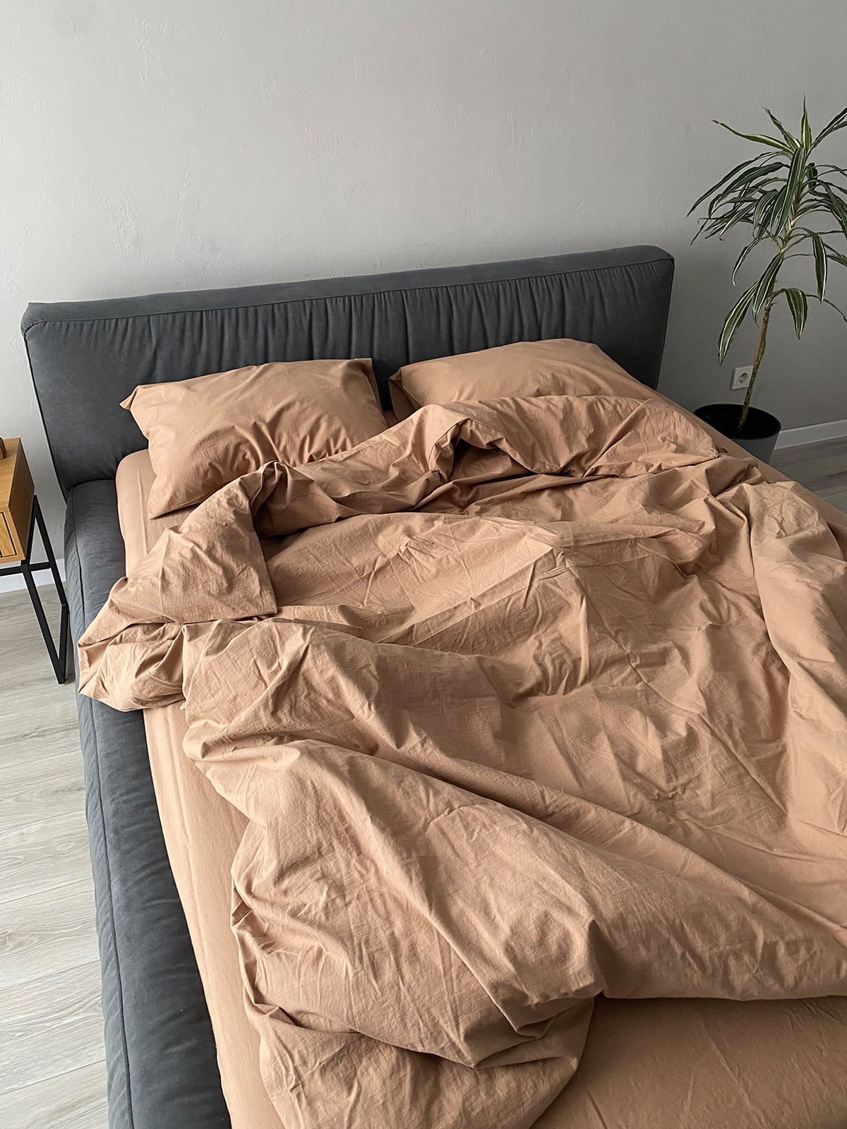 Комплект постільної білизни із вареної бавовни Beige