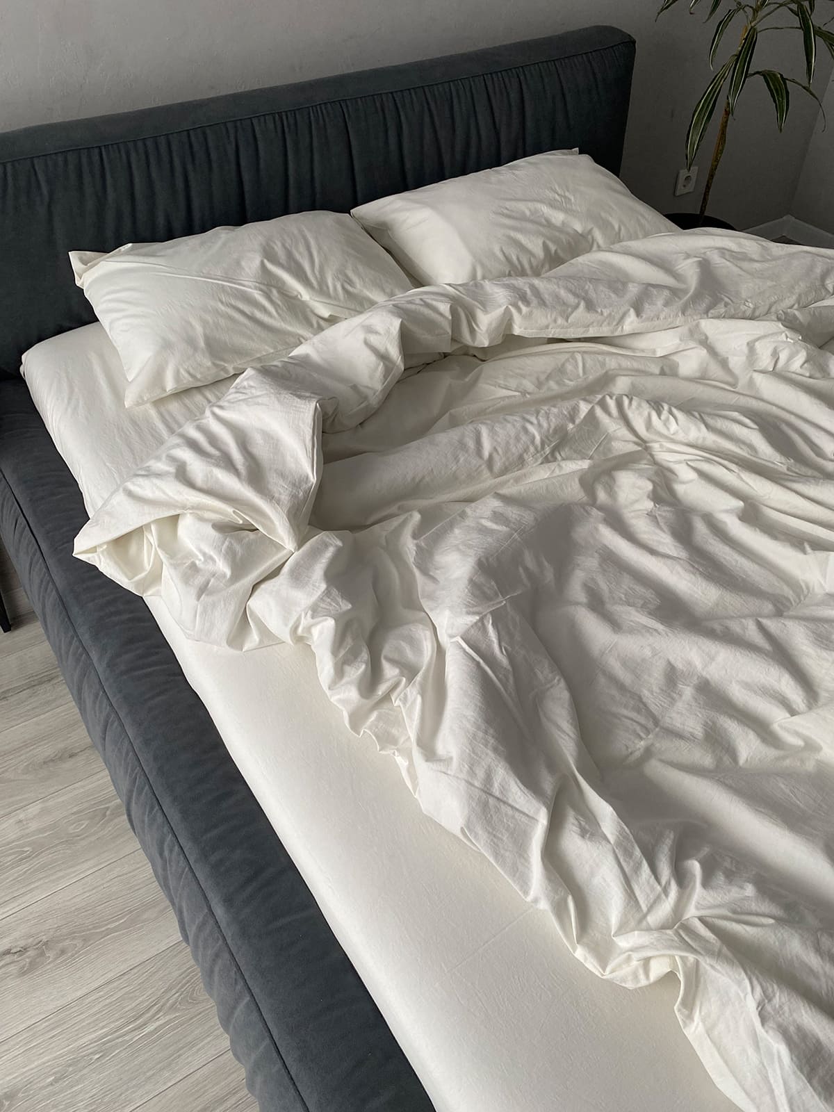 Комплект постільної білизни із вареної бавовни Cloud