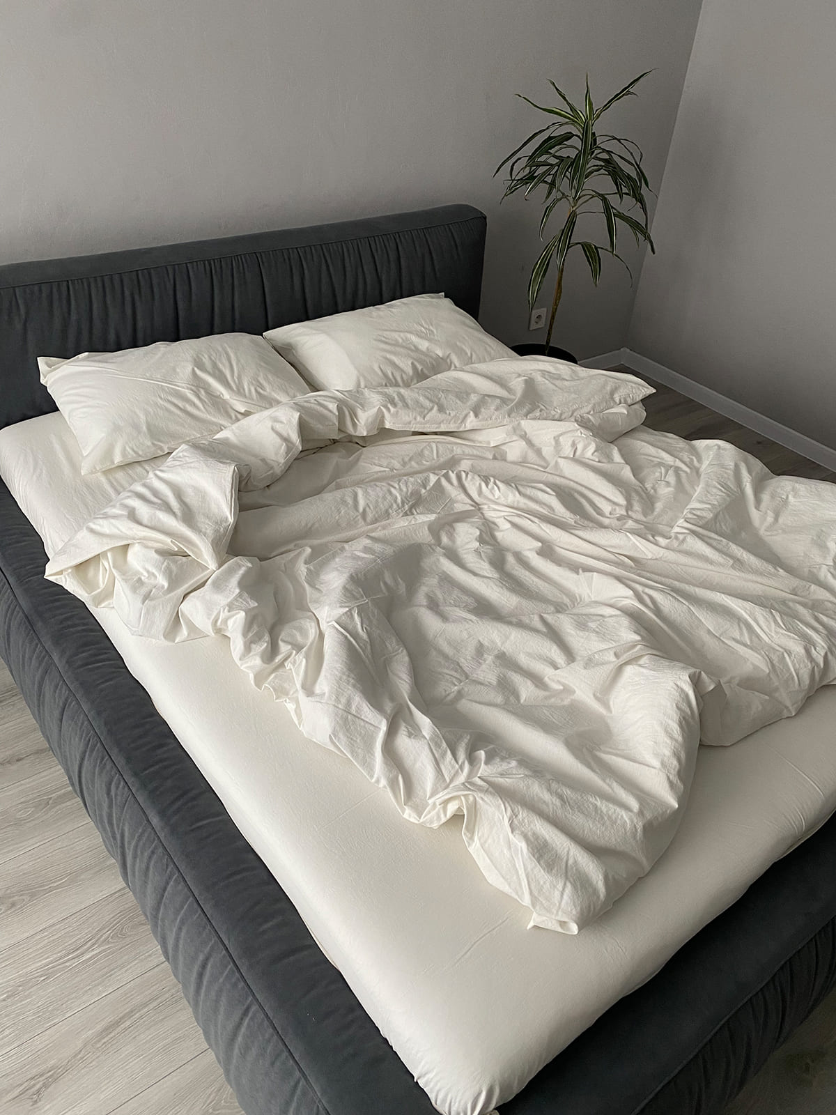 Комплект постільної білизни із вареної бавовни Cloud