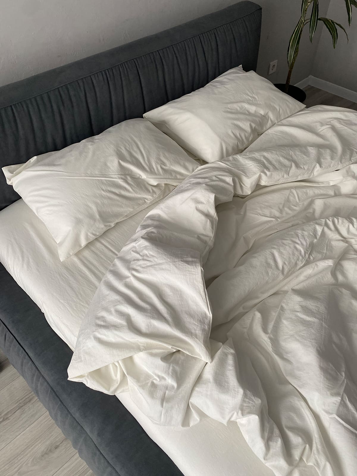 Комплект постільної білизни із вареної бавовни Cloud